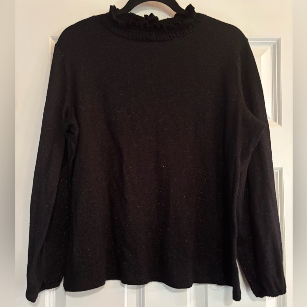 Talbots Sparkle Blouse, size X Plus